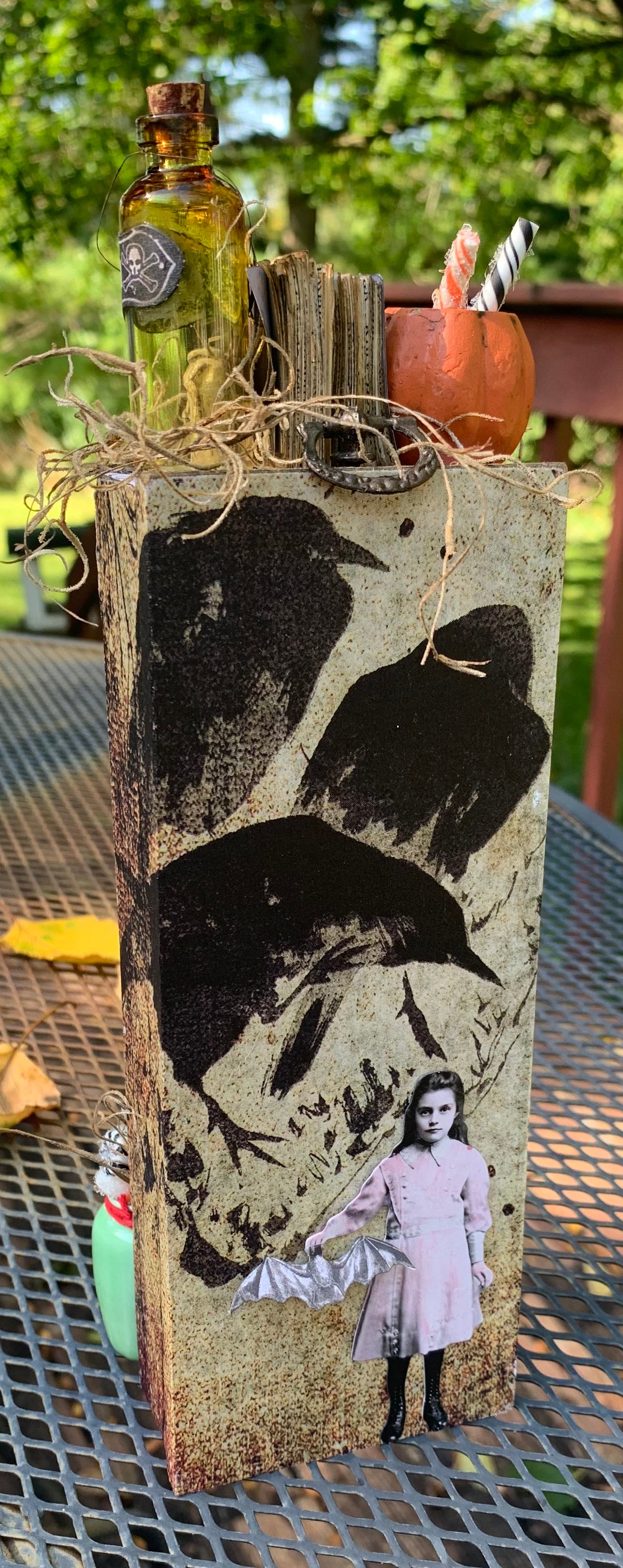 “Cabinet of Curiosities” Vintage Shadow Box