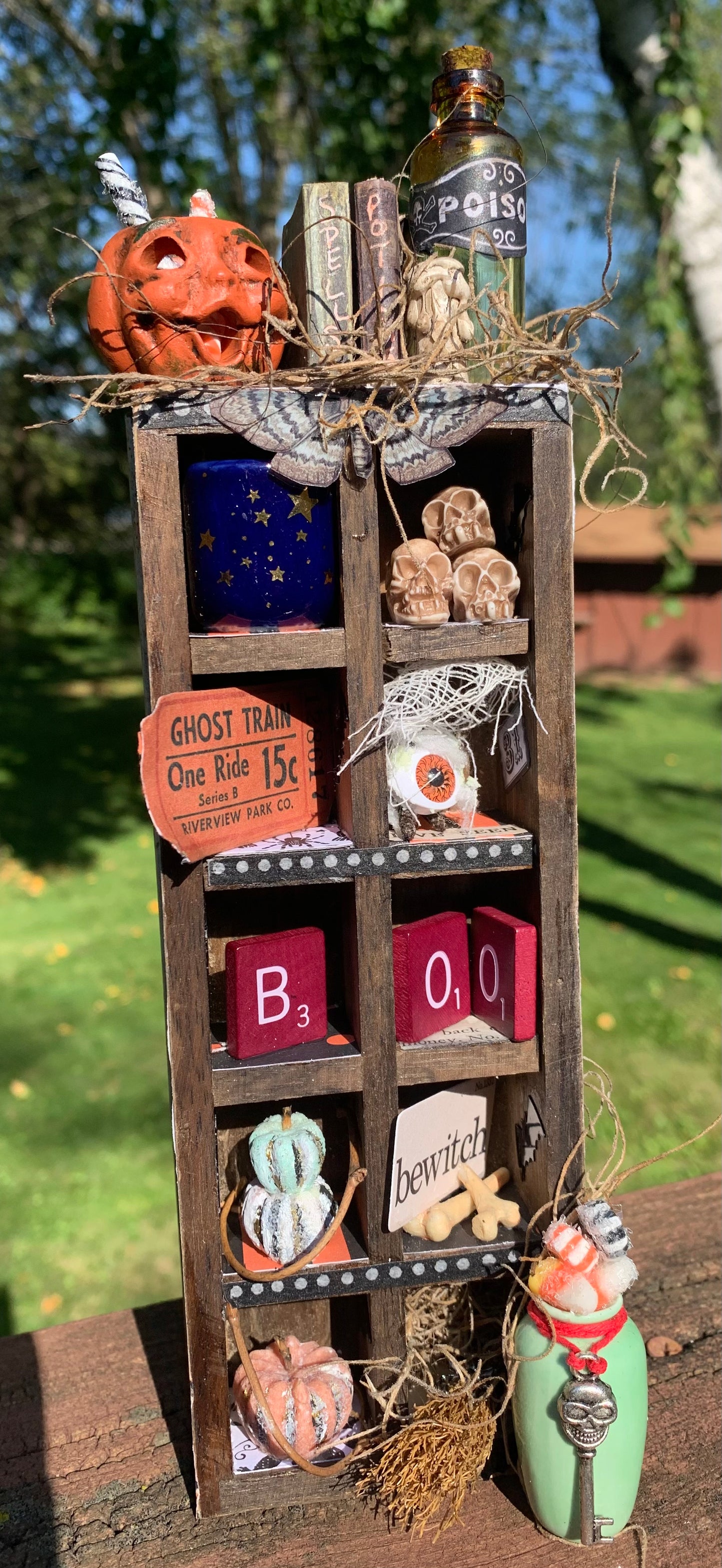 “Cabinet of Curiosities” Vintage Shadow Box