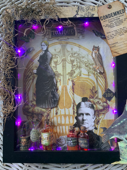 The Widow's Elixir Mixed Media Shadow Box With Lights