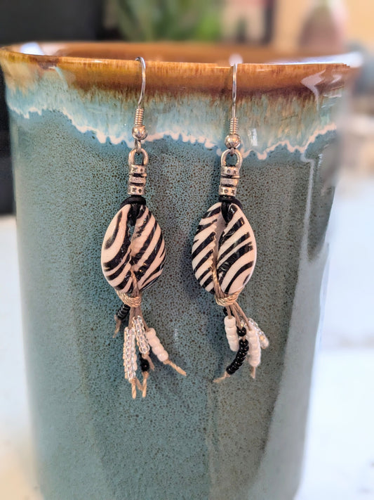Zebra Cowrie Shell Earrings